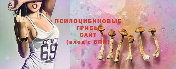 mdpv Горно-Алтайск