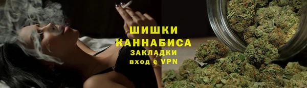 mdpv Горно-Алтайск