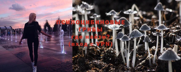mdpv Горно-Алтайск