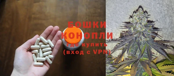 тгк Горнозаводск