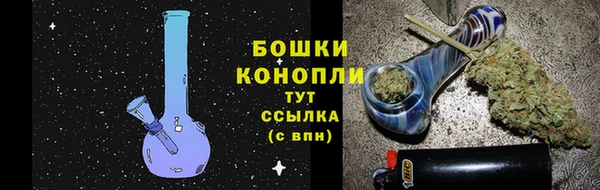 mdpv Горно-Алтайск