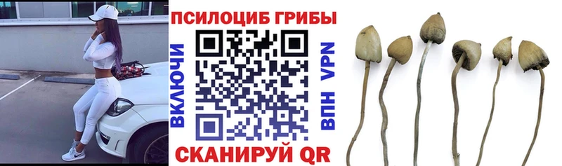 Псилоцибиновые грибы прущие грибы Магнитогорск