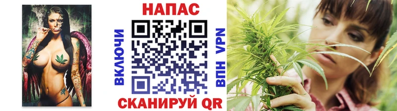 Шишки марихуана Amnesia  кракен онион  Магнитогорск 